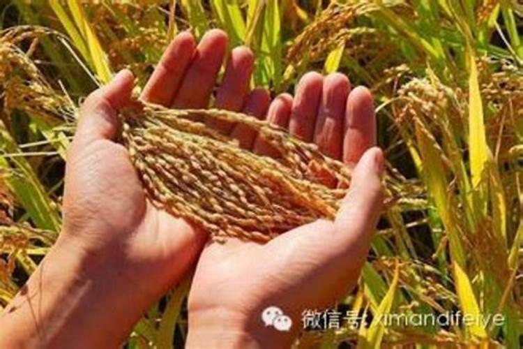 全国有哪些磷肥厂？ 知道的帮帮忙