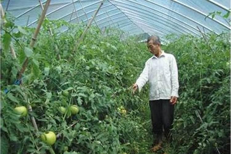 浏阳博士村研学顺序