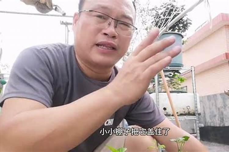 移栽的树多久施肥