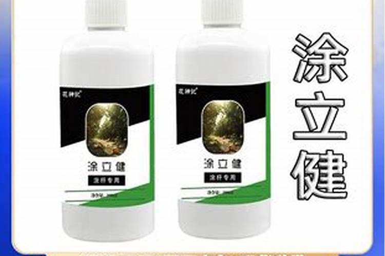 怎样用安其酵母制作叶面肥料