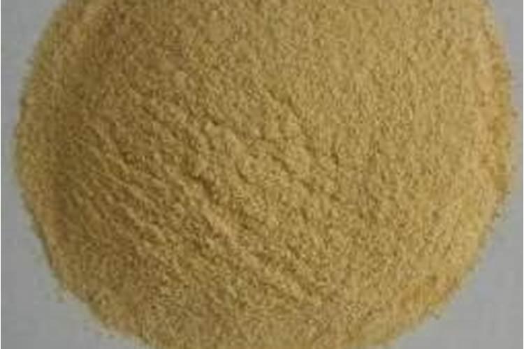 豆粕如何发酵做肥料