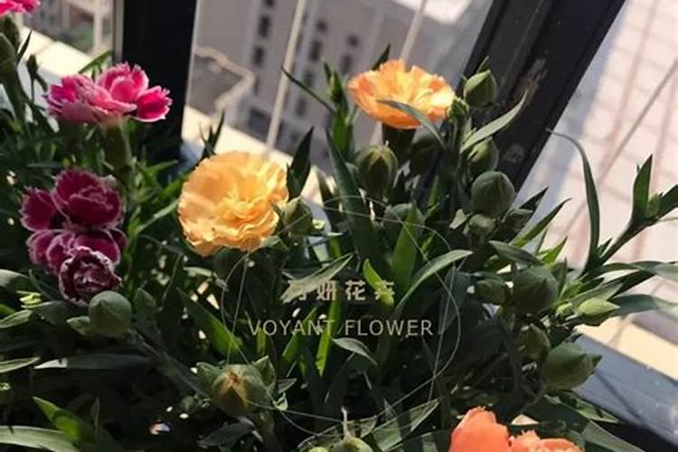 花肥谷产品在知乎上是否被提及有假货问题