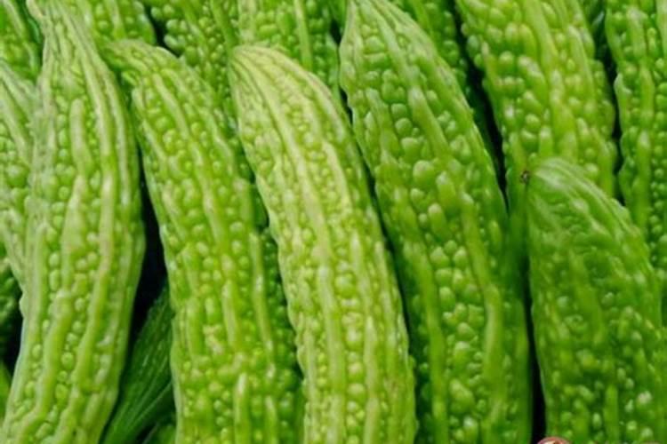 苦瓜种植误区有哪些 苦瓜怎么施肥