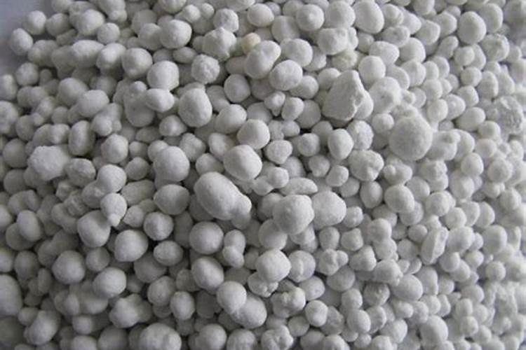 喇叭花施什么肥？氮肥/磷酸二氢钾/氮磷钾复合肥三种肥料