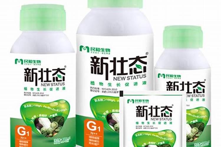 苦瓜用什么肥料最好