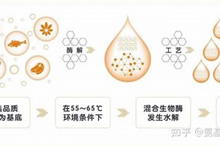 果蔬粉的使用方法 教你果蔬粉的正确用法