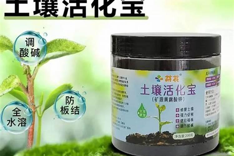 植物扦插时能否把土壤活化矿源黄腐酸钾菌肥拌沙土做扦插土质用？