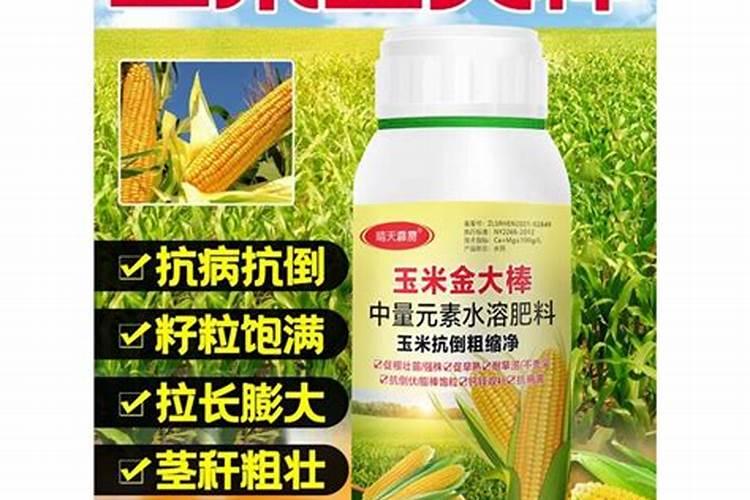 玉米叶面肥哪种最好