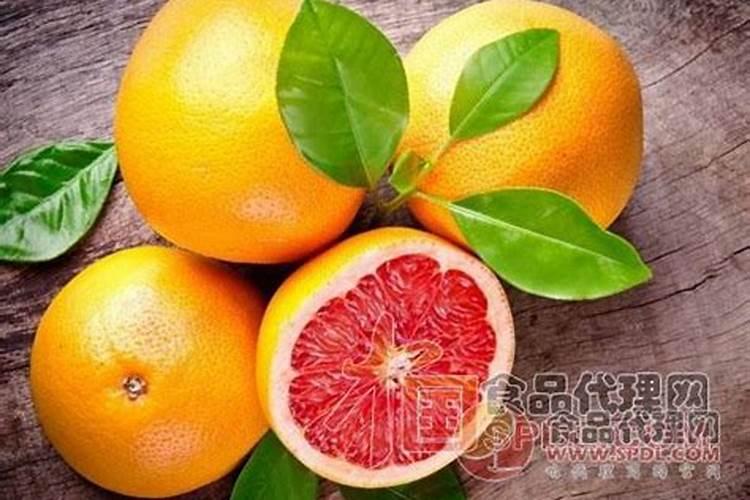 葡萄柚树九月如何施肥