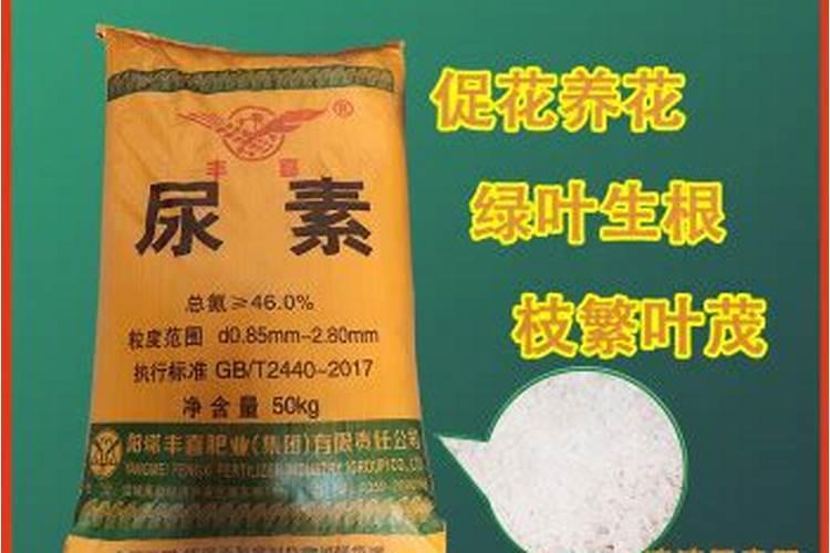 荔枝用什么果树水溶肥能增甜耐储