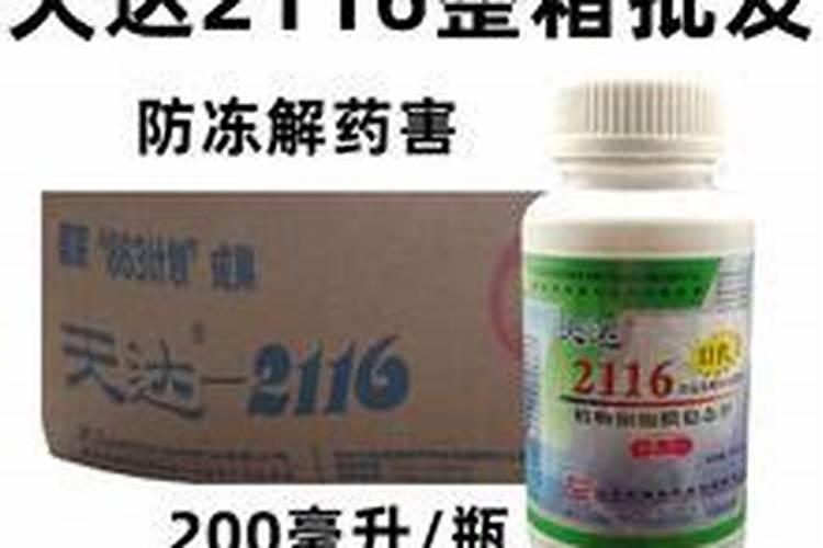 苹果苦痘病怎么预防