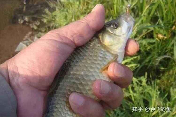 新材料龙头股票有哪些