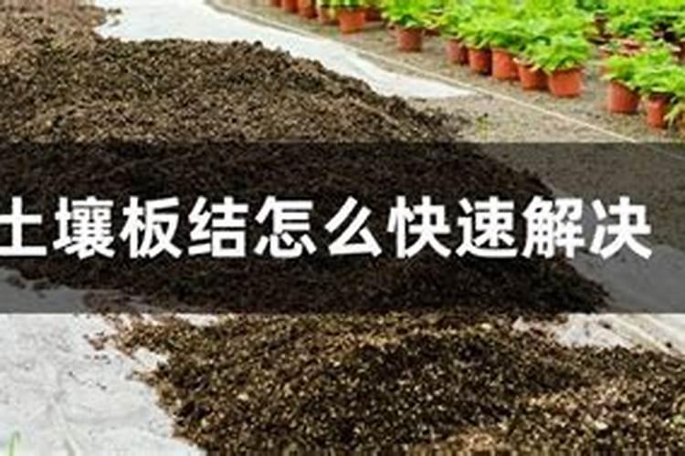 复合肥几个月不化是不是假？