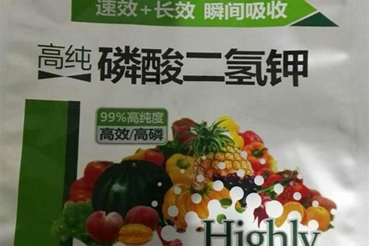 白兰花用什么肥料最好(白兰花怎么施肥长得快开花多)