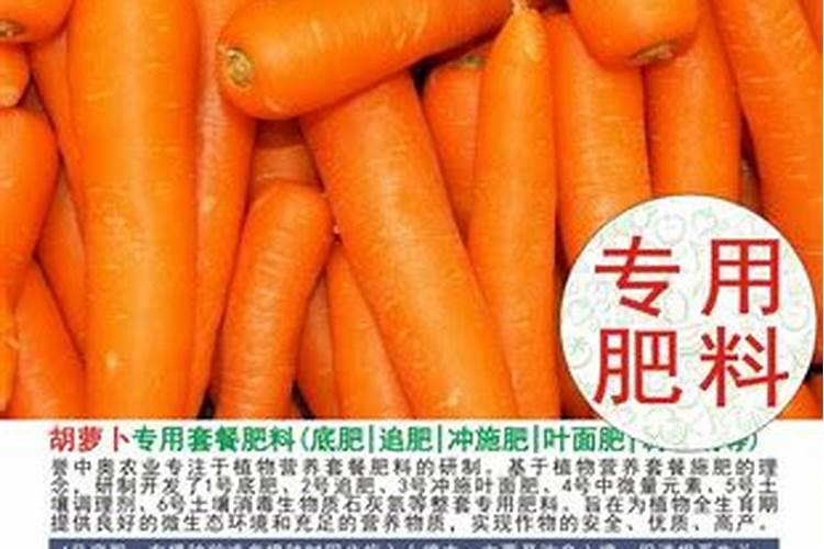 胡萝卜施什么肥最好