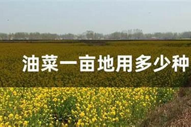 油菜种植用一亩地用多少肥料