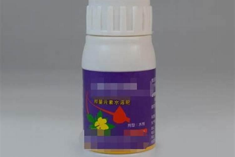 观叶植物用什么肥料好