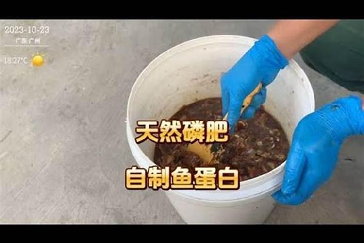 什么是磷肥 天然的磷钾肥有哪些