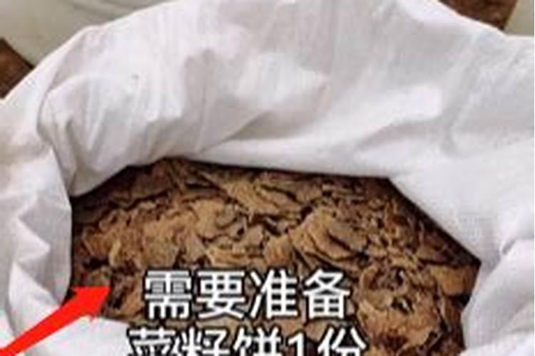 菜籽饼如何发酵成水肥
