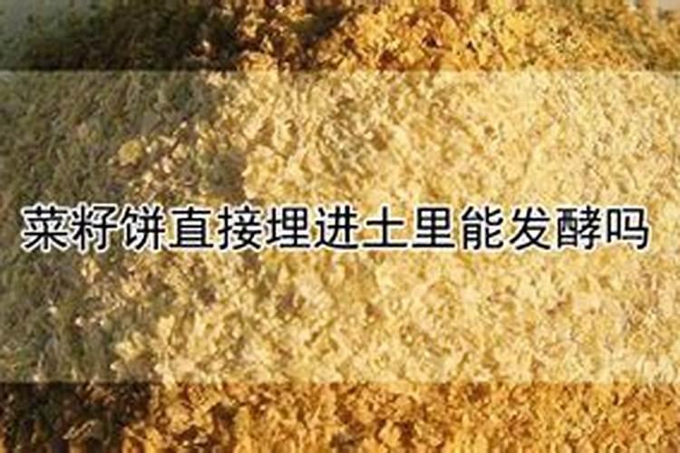 菜籽饼是什么肥料 菜籽饼可以直接撒在土里面作肥料吗