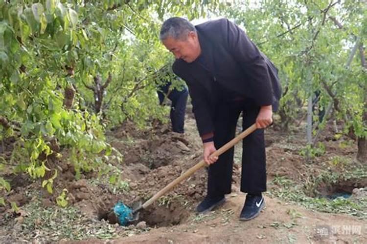 硫酸镁可以做肥料吗