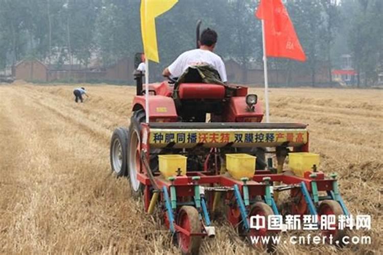 玉米9至12叶需要追尿素吗什么时候追好当时是种肥同播的