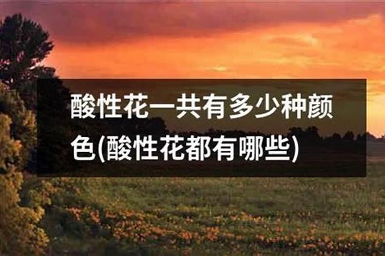 花用酸性肥料有哪些