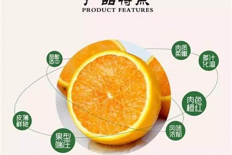 红橙树如何管理比较好些