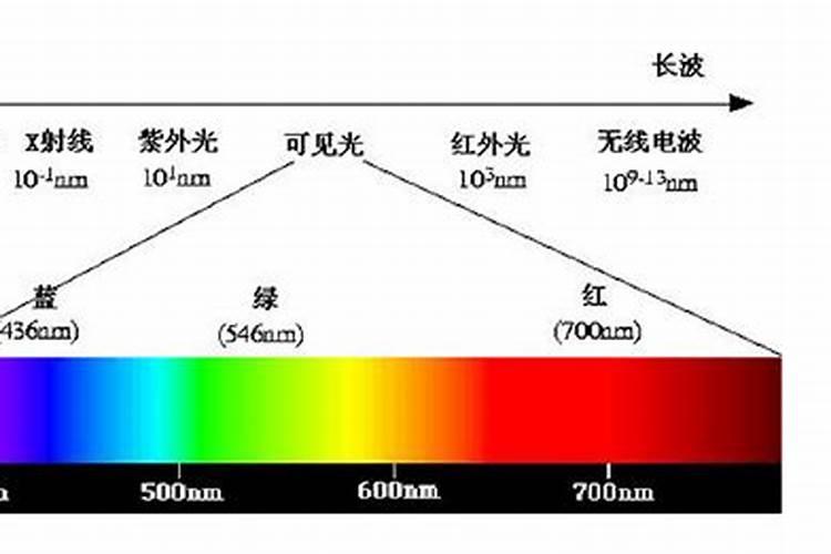 叶子发黄怎么补救