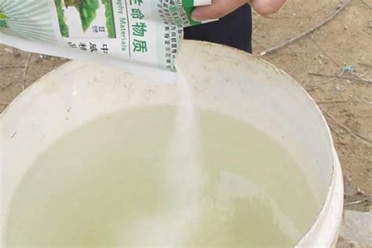 火龙果的炭疽病用什么药及配方好