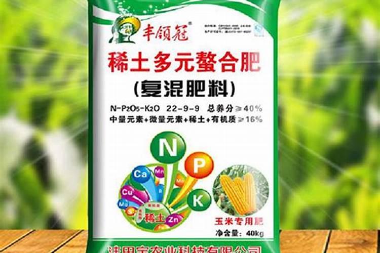 石竹爆盆的正确方法 石竹爆盆方法介绍