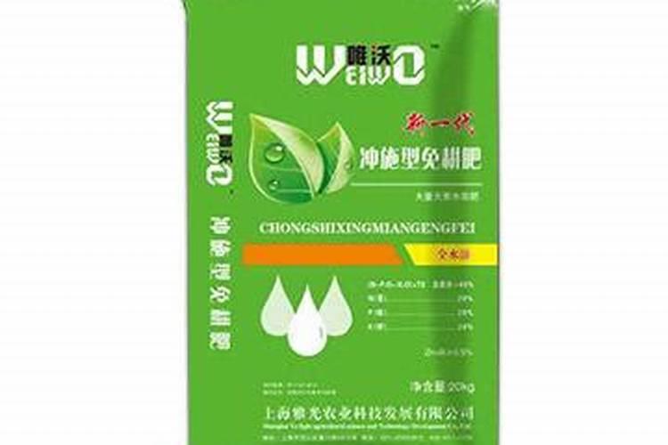 南瓜母花开了没公花怎么办