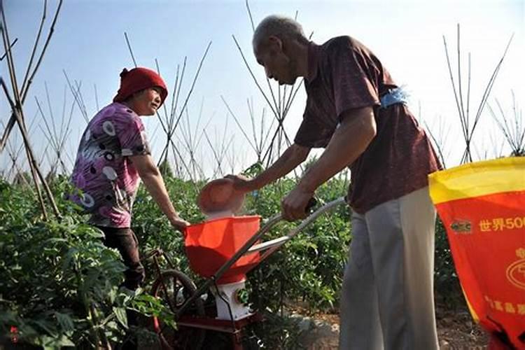养鹅种草用什么肥料