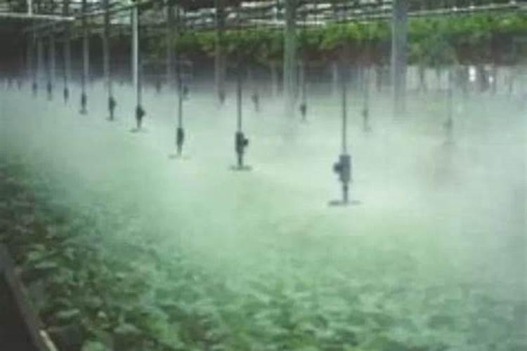 磷肥一亩地施多少