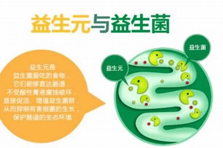 在养鱼的水里加硝化细菌有什么用,