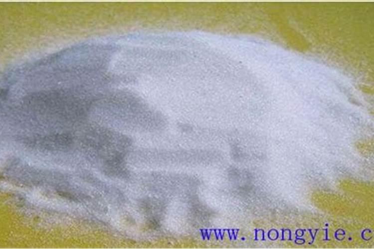 沙糖桔能用芸苔素着色吗 什么时候使用效果好