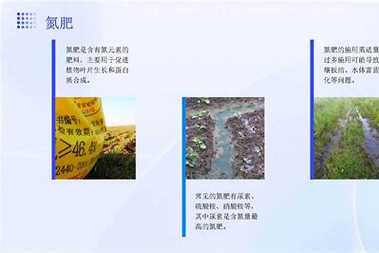 养花必备的五个化肥知识,养花常备肥料