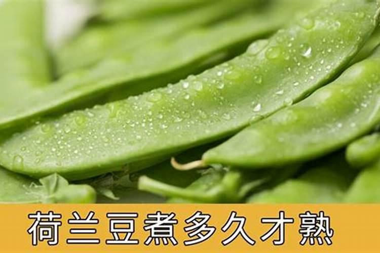 发财树多久喷一次叶面