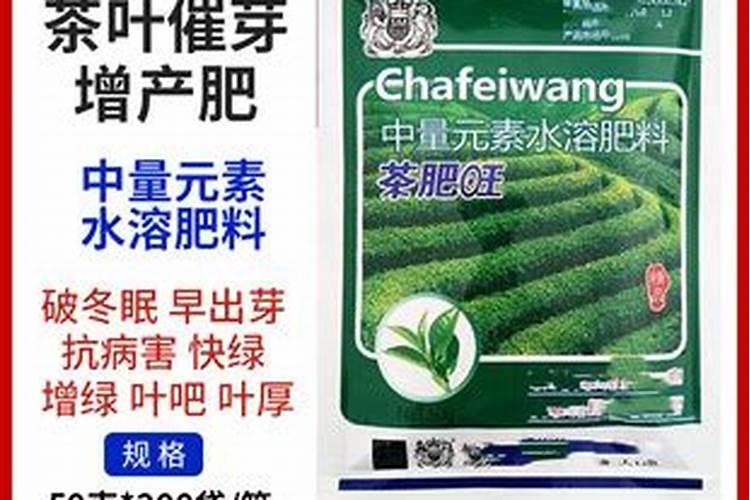 绿茶怎么施肥和种植 绿茶施肥方法和注意事项
