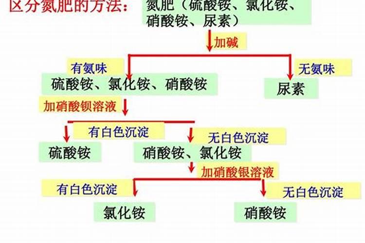 氮肥的简易鉴别中的化学反应方程式有哪些？~~列一下？如图~