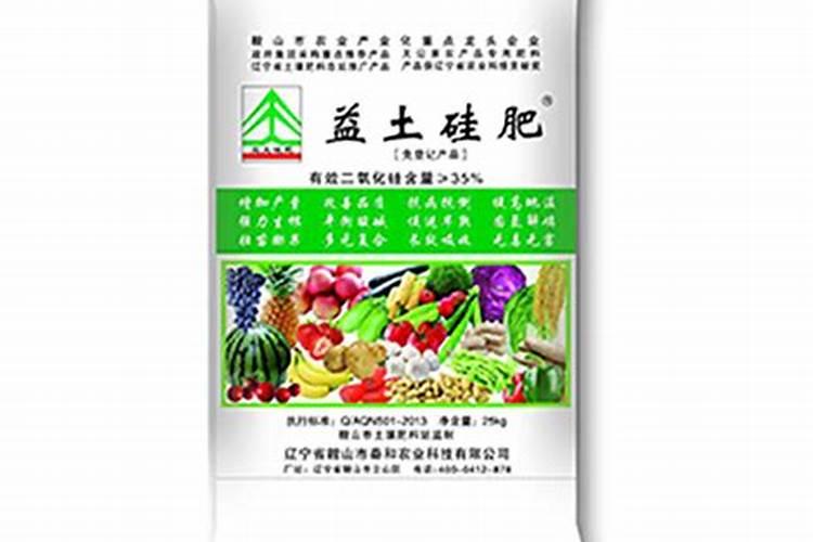 多肉专用肥在哪里可以买到