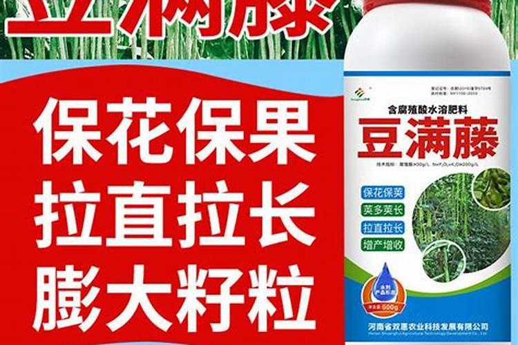 豆角施什么肥料好？豆角怎样让果实快速膨大？豆角叶面喷施昆仑风百度知 ...