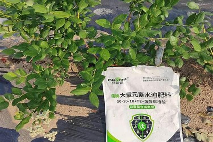 氨基酸水溶肥使用禁忌