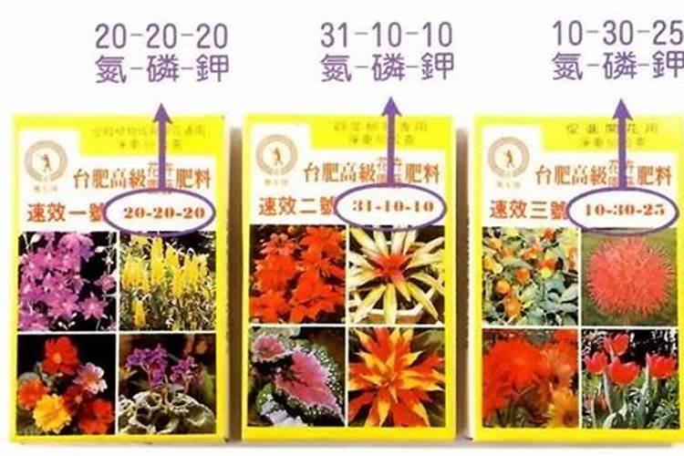 磷肥可以养花吗
