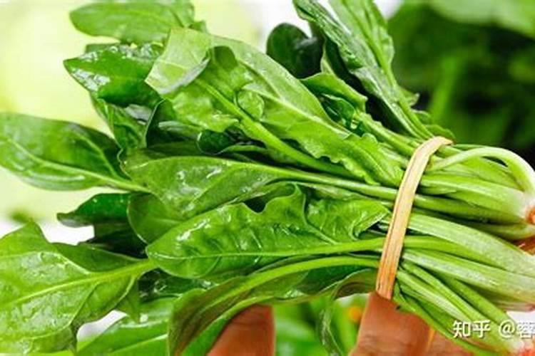 种植菠菜怎么施肥,该施什么肥料