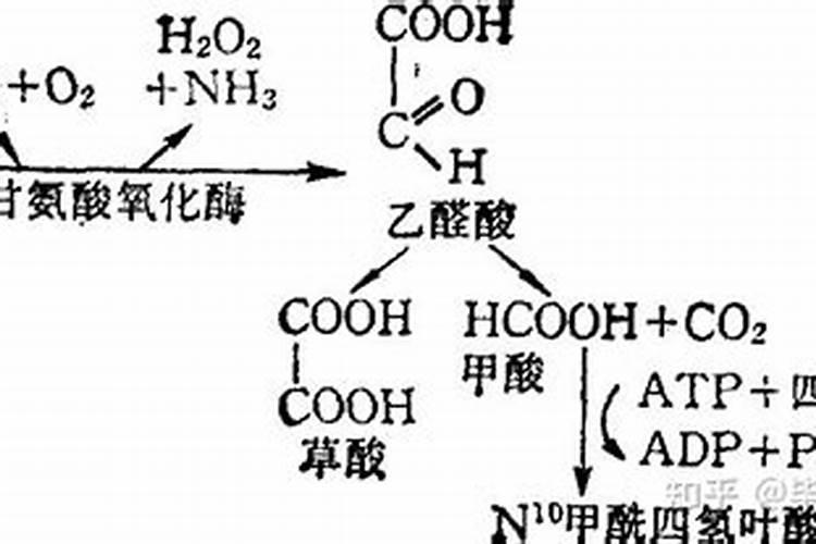 食品添加剂甘氨酸