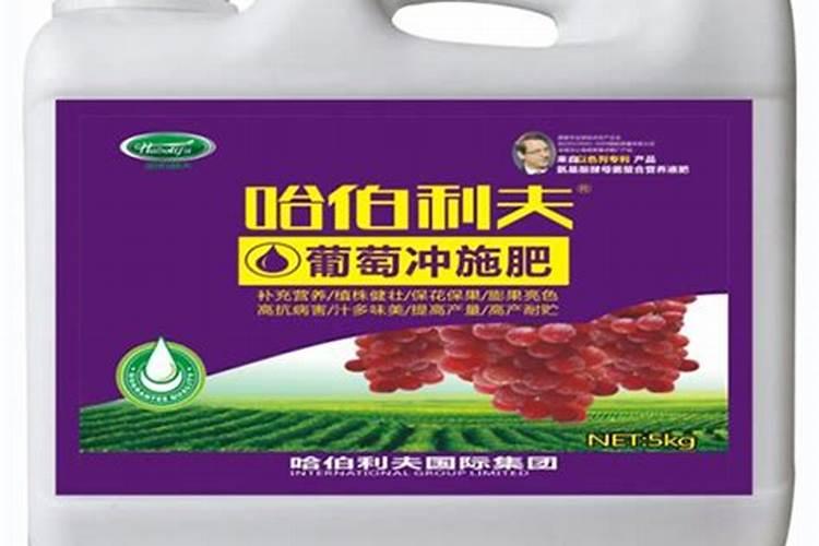 葡萄喷施叶面肥有哪些技巧？ 丙硫克百威的使用方法及注意事项