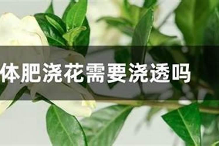 兰花可以用硅肥吗？