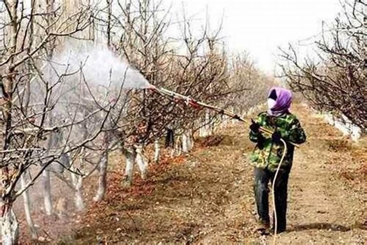 果树秋季追肥用菌肥搭配大量元素水溶肥可以吗？