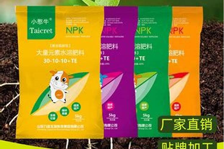 茶花施肥用什么肥料最好 用复合肥施肥长得快